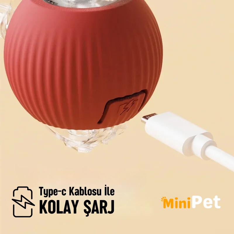 MiniPet Akıllı Kedi Topu